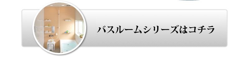 NibṽoX[V[Y̓R`