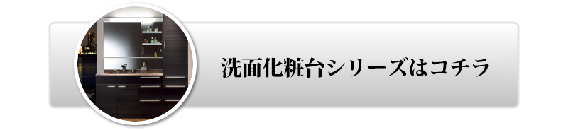 Nibv̐ʉϑV[Y̓R`