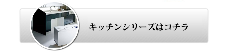 LIXIL̃Lb`V[Y̓R`