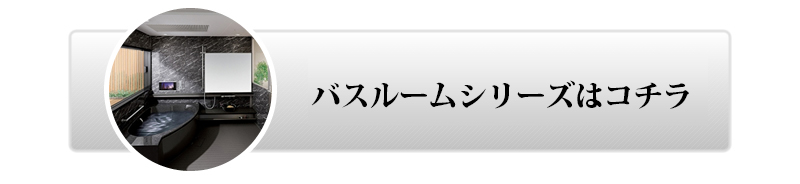 pi\jbÑoX[V[Y̓R`