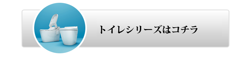 pi\jbÑgCV[Y̓R`